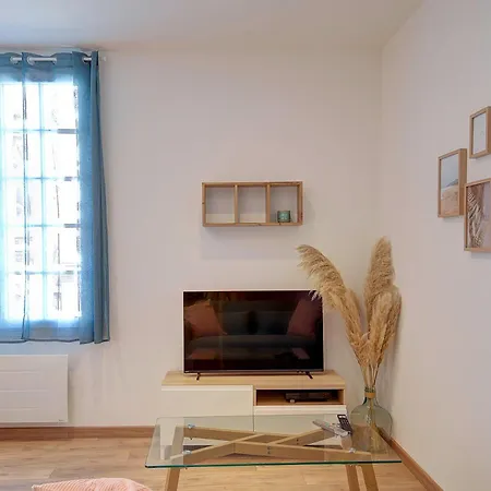 Le Grain De Folie / Place Des Halles Apartment