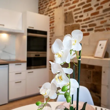 Le Grain De Folie / Place Des Halles * Tours