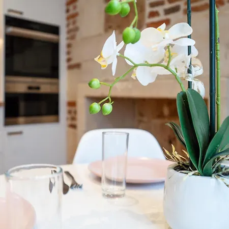 Le Grain De Folie / Place Des Halles Apartment